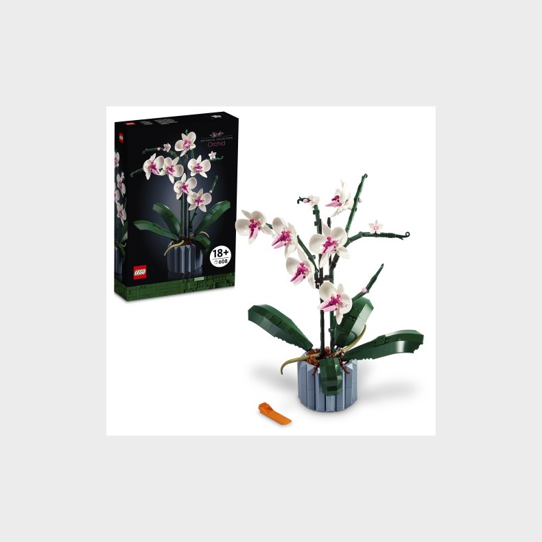 Orkid�