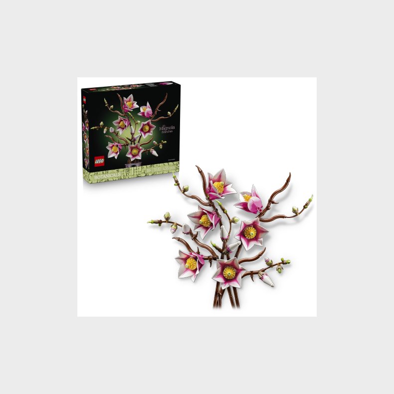 Magnolia-grene